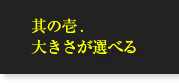 其の壱.大きさが選べる